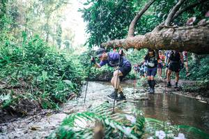 BIB: 
                            <button type="button" onclick="openModal(25451701)" class="btn btn-primary btn-sm float-right btn-popup" data-toggle="modal" data-target=".modal-high-quality">
                        <i class="fas fa-shopping-cart"></i> Add to Cart
                    </button>
                                            <button type="button" onclick="isThisMe(25451701, true)" class="btn btn-success btn-sm float-right btn-popup btn-isme hidden" data-toggle="tooltip" data-placement="bottom" title="นี่คือรูปของคุณใช่ไหม คลิกที่นี่เพื่อเอาเข้าอัลบั้ม">
                        <i class="fas fa-plus"></i> Add to album
                    </button>
                    <button type="button" onclick="isThisMe(25451701, false)" class="btn btn-warning btn-sm float-right btn-popup btn-isnotme hidden">
                        <i class="fas fa-ban"></i> Remove from album
                    </button>